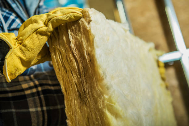 Best Insulation Installation Services in Tn Lakes, WI