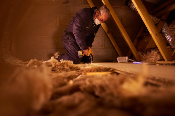 Best Insulation Maintenance and Repair in Tn Lakes, WI